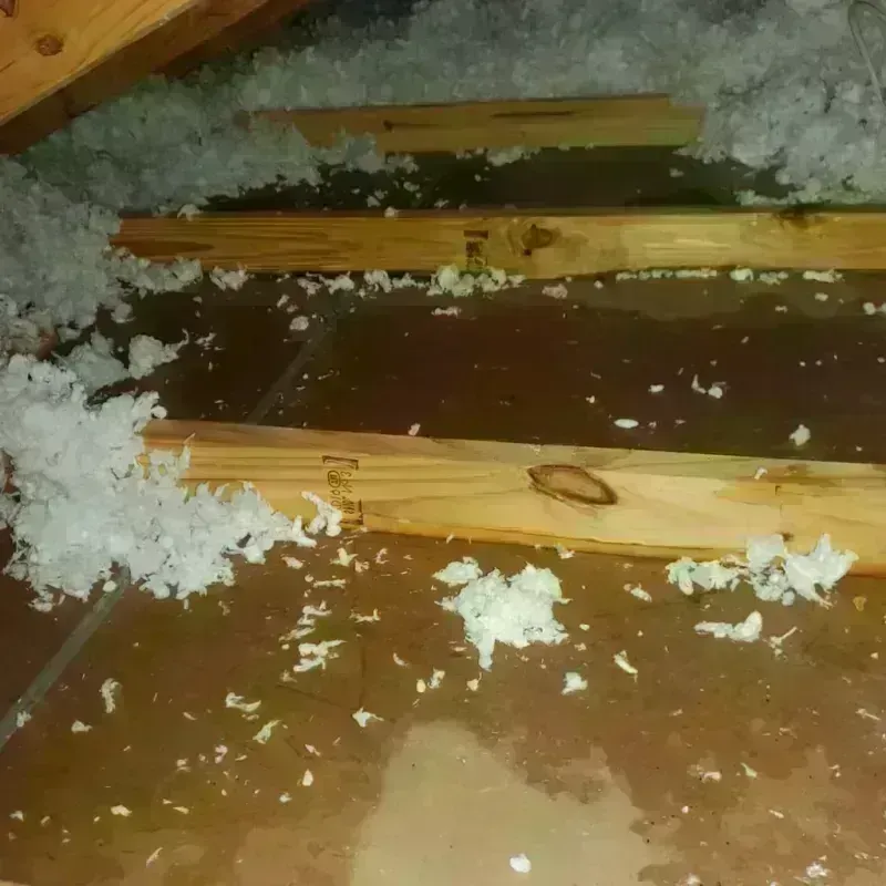 Attic Water Damage in Follansbee, WV